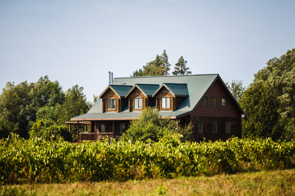 Jabulani Vineyard Wedding Venue ceremony overlooking the vineyard in Ottawa